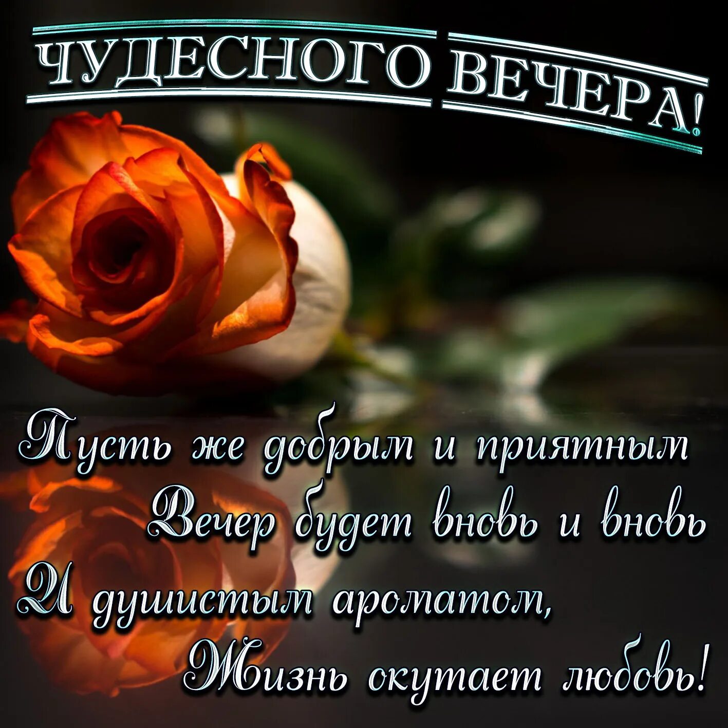 Картинки добрый вечер стихи доброй ночи Открытка - красивое пожелание чудесного вечера и роза
