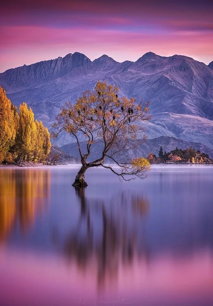 Картинки добрый вечер в горах Pin by My Anh on Lake Wakana, New Zealand Nature photography, Beautiful landscap