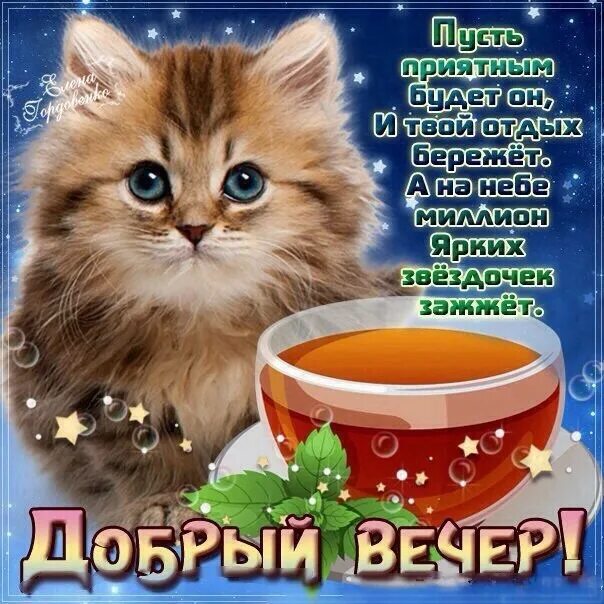 Картинки добрый вечер ватсап бесплатно Пусть вечер этот сложится И принесёт с собой Всего-всего хорошего, Даст радость 