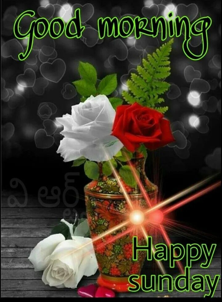 Картинки добрый вечер вертикально Pin by priyanka Satam on Mornings Good morning happy sunday, Happy sunday, Good 