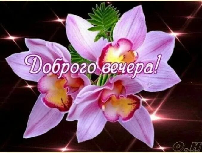 Картинки добрый вечер внученька Pin by Katica Balogh on Good evening, good night Good night, Good evening, Night