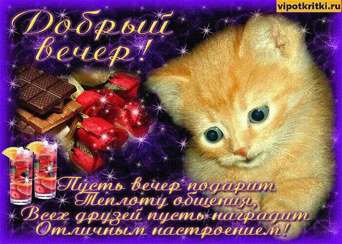 Картинки добрый вечер внученька Открытка Пусть Этот Вечер Подарит Теплоту Общения OK.RU