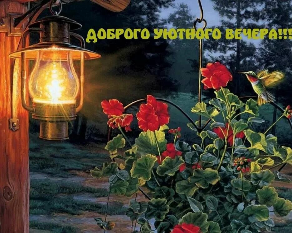 Картинки добрый волшебный вечер Pin on Доброго вечера, доброй ночи. Good night sweet dreams, Good night image, G