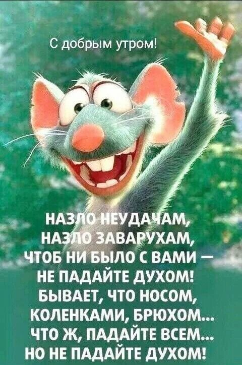 Картинки добрый юмор позитивные Пин от пользователя Светлана Хренова на доске Доброе утро! Доброе утро, Открытки