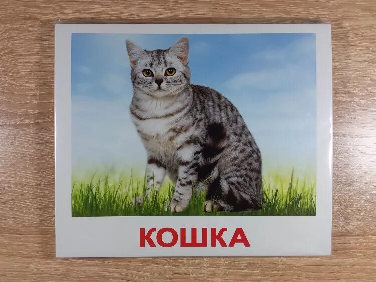 Картинки домана животные Карточки Домана "Домашние животные" купить в интернет-магазине