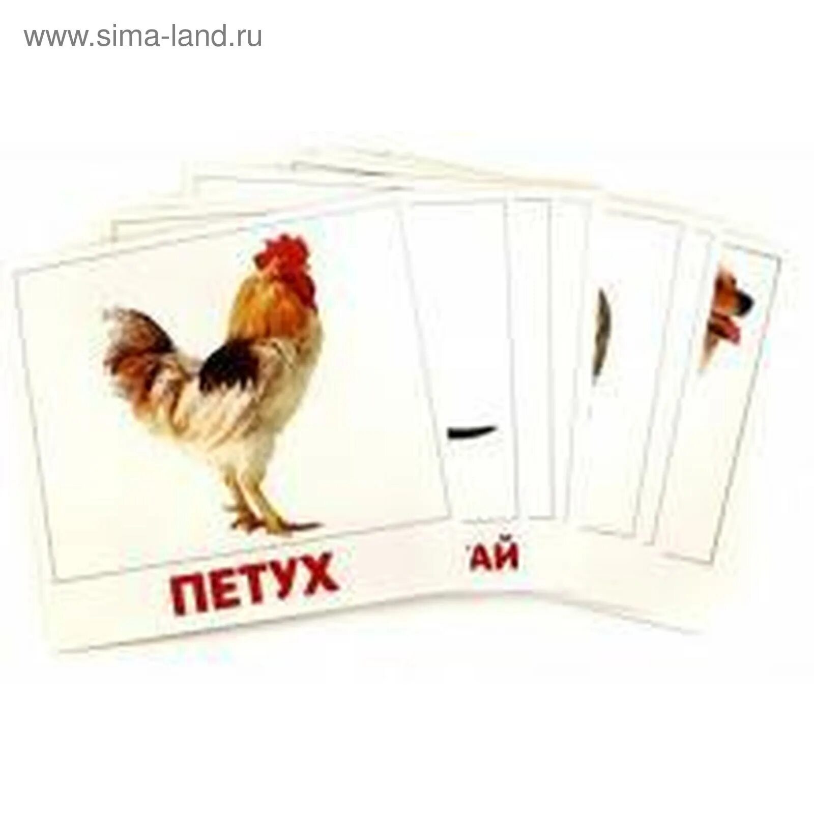 Картинки домана животные Домашние животные. Доман Г. (5507536) - Купить по цене от 251.00 руб. Интернет м