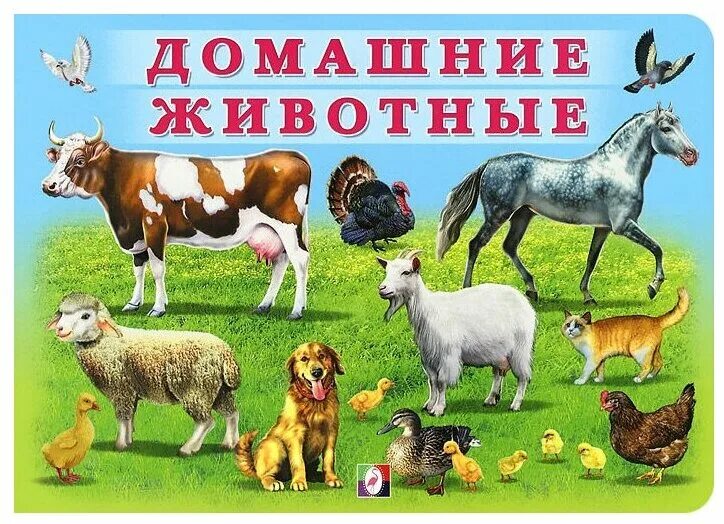 Картинки домашние животные для детей детского сада Книга Malamalama Lap Book Детям о животных 34028-7-no - купить в интернет-магази