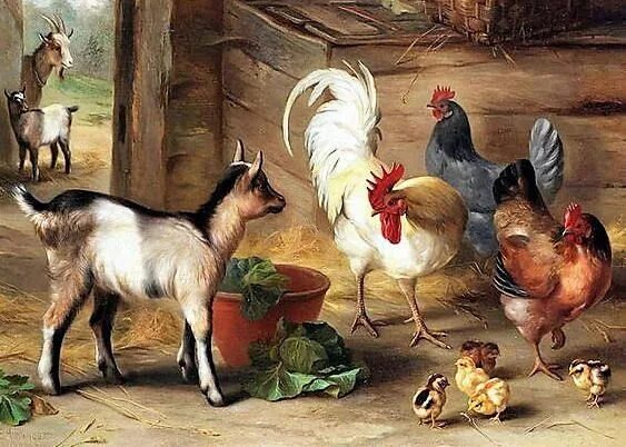 Картинки домашние животные и птицы Goats Chickens and Chicks in a Barn / Cross Stitch Design - Etsy Animals, Animal