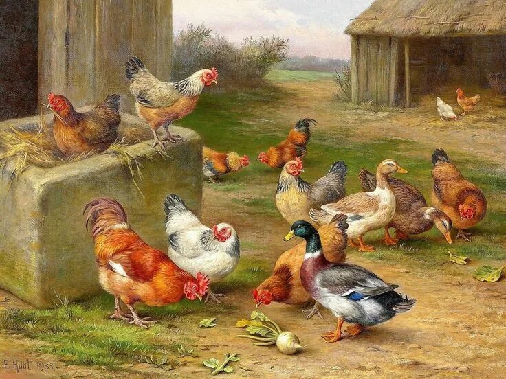 Картинки домашние животные и птицы Chickens and Ducks. Cross Stitch Pattern. Cross Stitch. Cross - Etsy Art de coq,