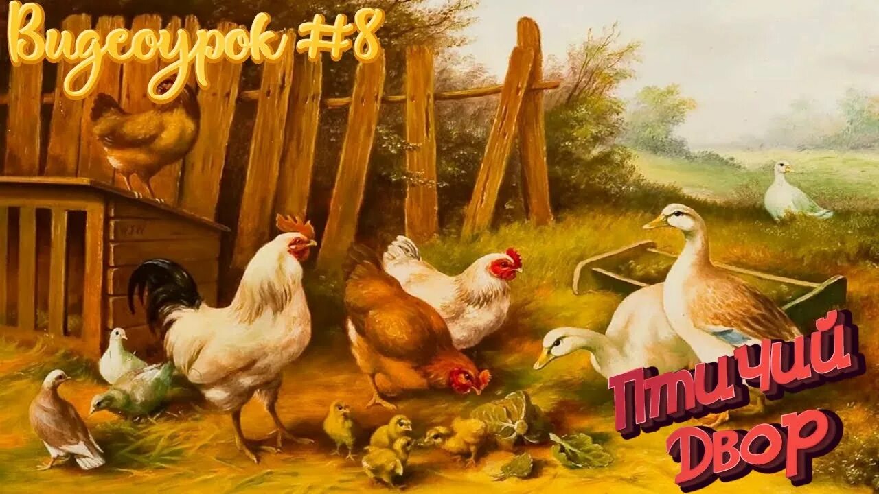 Картинки домашние животные и птицы Видеоурок #8 : ДОМАШНИЕ ПТИЦЫ И ИХ ДЕТЁНЫШИ - YouTube