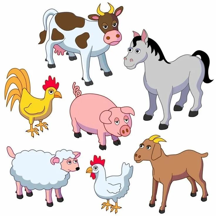 Картинки домашних животных для детей цветные красивые Pin on Animali Farm animals preschool, Farm animals list, Farm animals