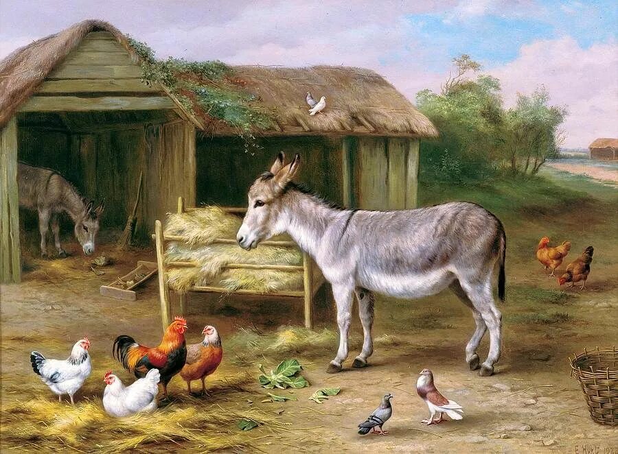 Картинки домашних животных двор Edgar Hunt Peinture d'animal, Art agricole, Art animalier
