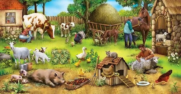Картинки домашних животных двор The Book about animals" on Behance Personajes de my little pony, Arte de granja,