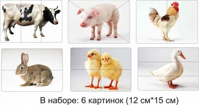 Картинки домашних животных карточки SmileDECOR / РАЗРЕЗНЫЕ КАРТИНКИ "ДОМАШНИЕ ЖИВОТНЫЕ" Рамки-вкладыши, линейки и тр