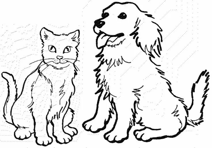 Картинки домашних животных раскраска Cat and dog drawing, Cat coloring page, Dog coloring page