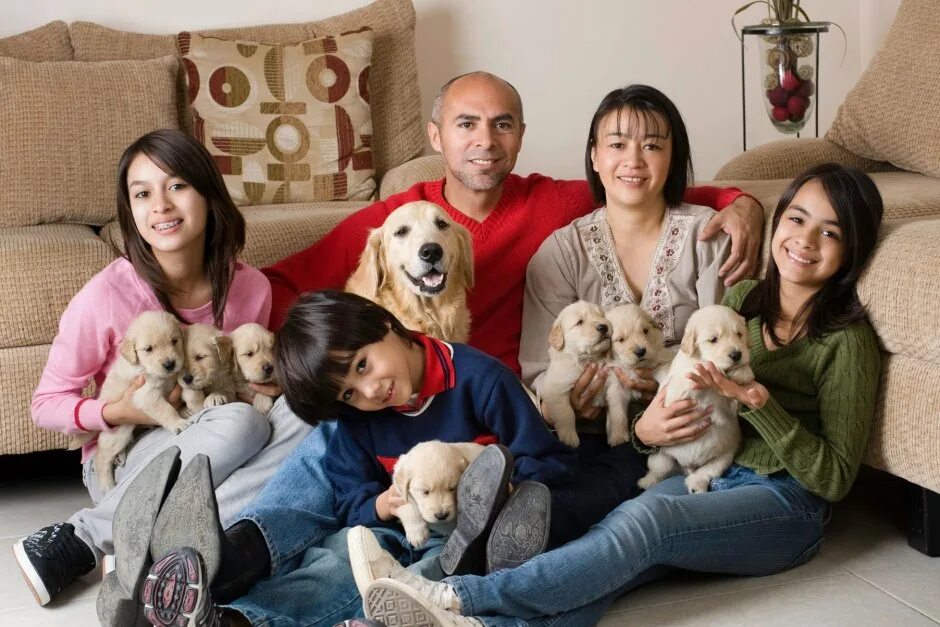 Картинки домашних животных семья Home Cozy Family Home - 69 photo