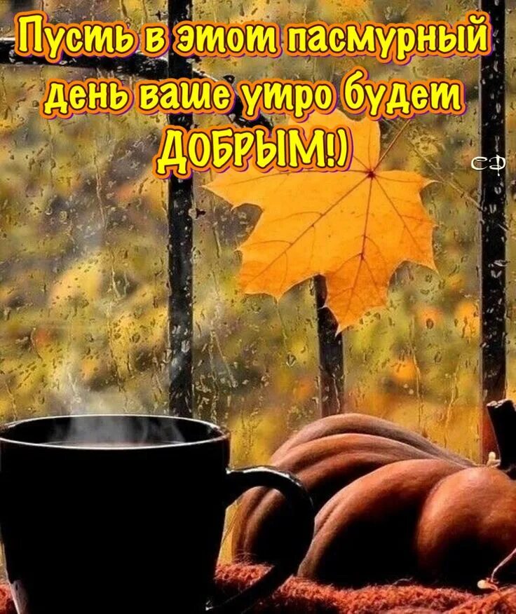 Картинки дождливая осень красивые с пожеланиями Пин на доске А Доброе утро, привет,благословение, хорошего дня Осенние картинки,