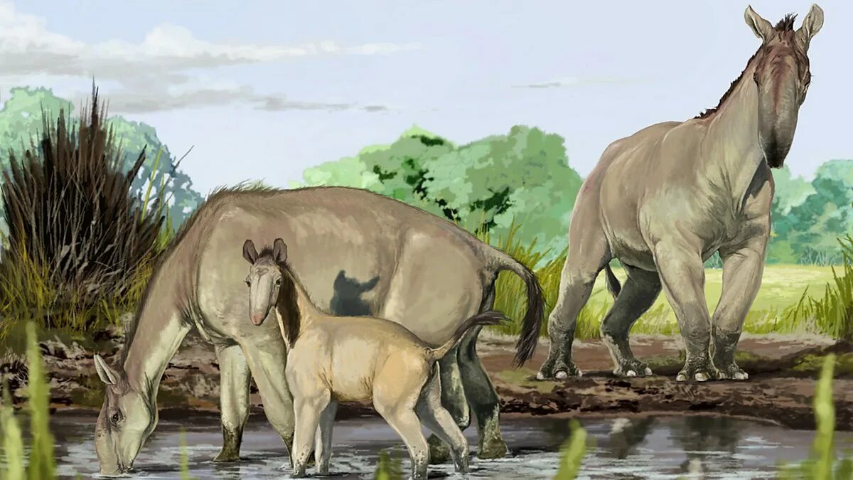 Картинки древних животных BBC World Service - Newsday, The ancient mammal that mystified Darwin