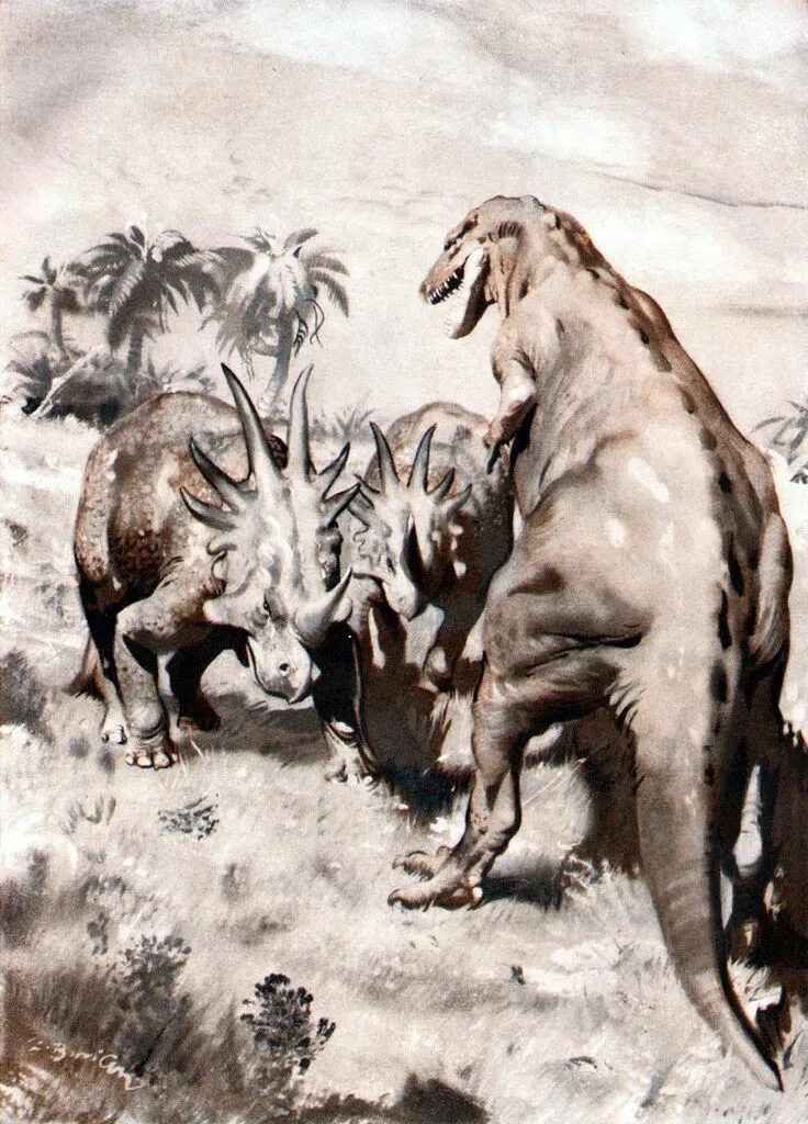 Картинки древних животных Styracosaurus Illustration by Zdenek Burian "Petrified World," 1962 "Versteinert