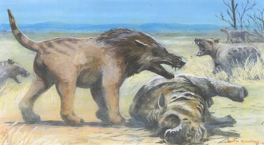 Картинки древних животных Andrewsarchus Prehistoric Life Wiki Fandom