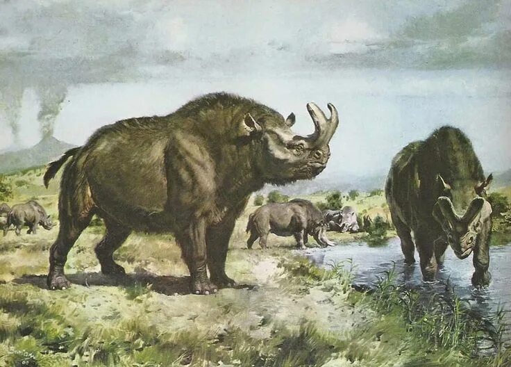 Картинки древних животных Pin on PaleoArt Prehistoric animals, Prehistoric wildlife, Prehistoric creatures