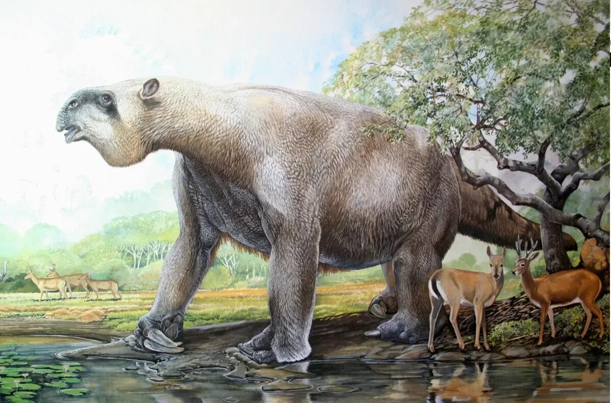 Картинки древних животных Mammiferi buffi della preistoria Mammiferi, Peluche di animali, Preistoria