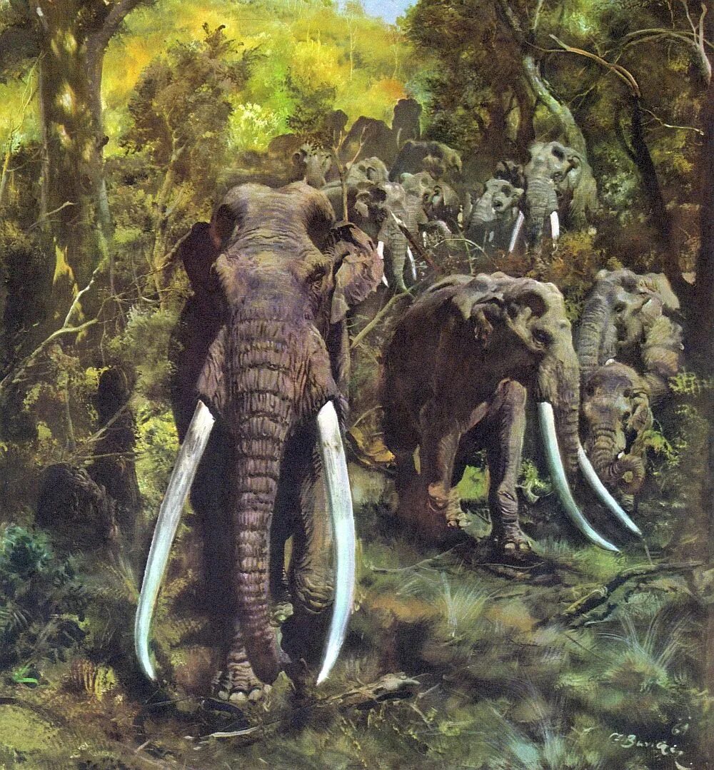 Картинки древних животных Prehistoric animals, Prehistoric wildlife, Elephant