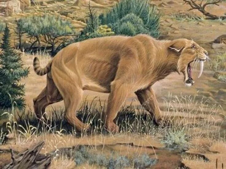 Картинки древних животных Top 10 Most Amazing Extinct Animal Species In The World - http://www.toplistpoin