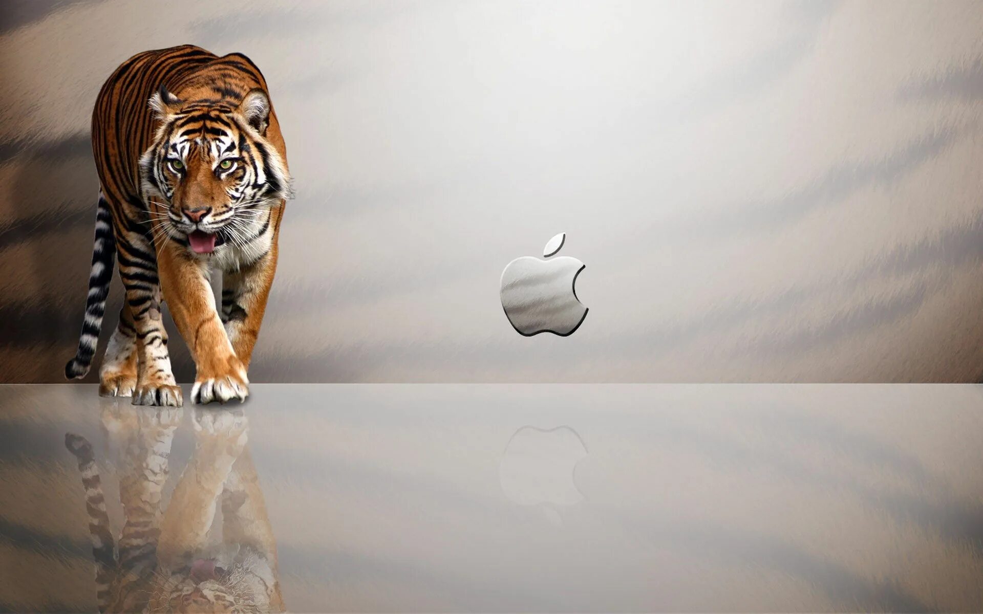 Картинки экран рабочий животные apple macbook wallpapers hd 애플로고, 바탕 화면