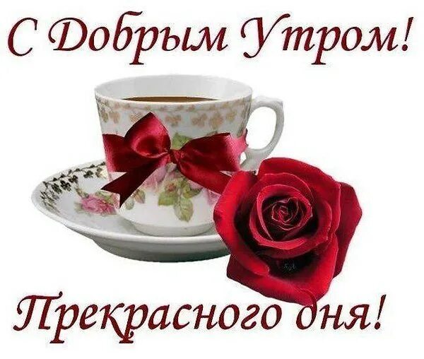Картинки еленатоло с добрым утром красивые С добрым утром, друзья! Спокойной но плодотворной Вам новой недели! С уважением,
