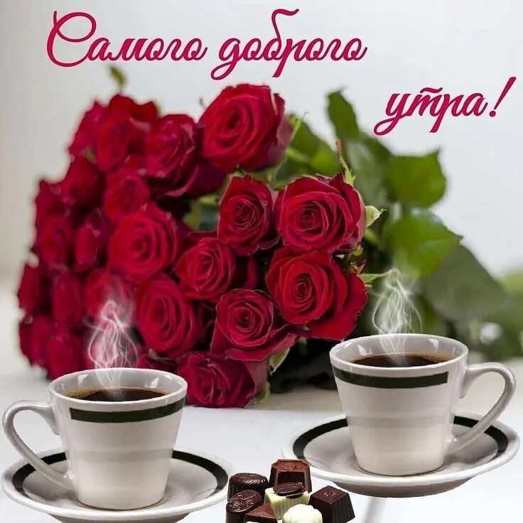 Картинки еленатоло с добрым утром красивые Instagram post by Каролина Фукс * Jun 23, 2021 at 7:58am UTC Красивые розы, Буке