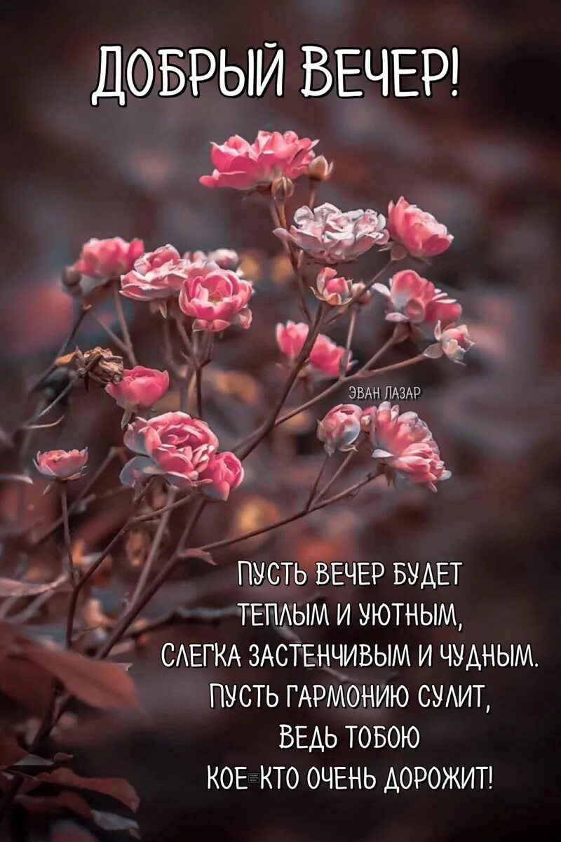 Картинки эван лазар доброго вечера Добрый вечер красивые открытки картинки Открытки, Картинки, Ночь