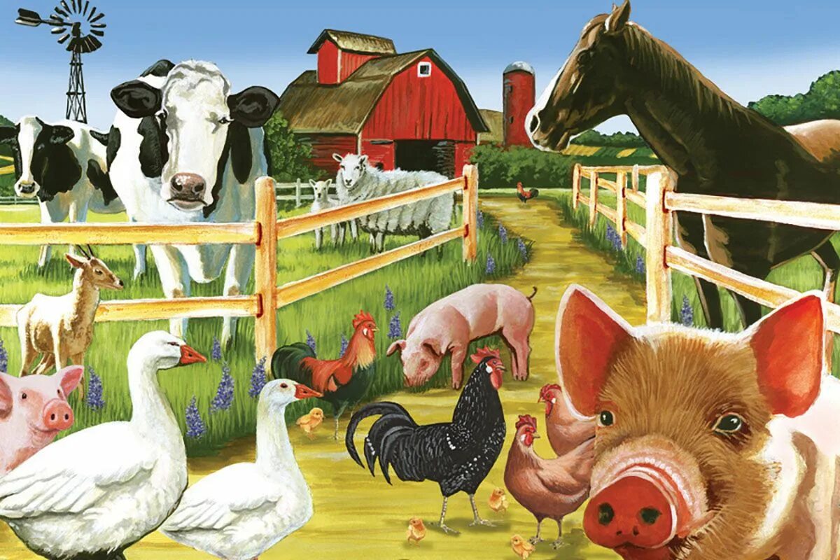 Картинки фермы с животными Farmyard Welcome, 35 Pieces, Cobble Hill Puzzle Warehouse Farm animals pictures,