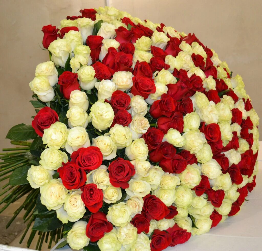 Картинки фото большие букеты Panorama: Kot i Klever, flowers and bouquets delivery, Rostov-on-Don, Korolyova 