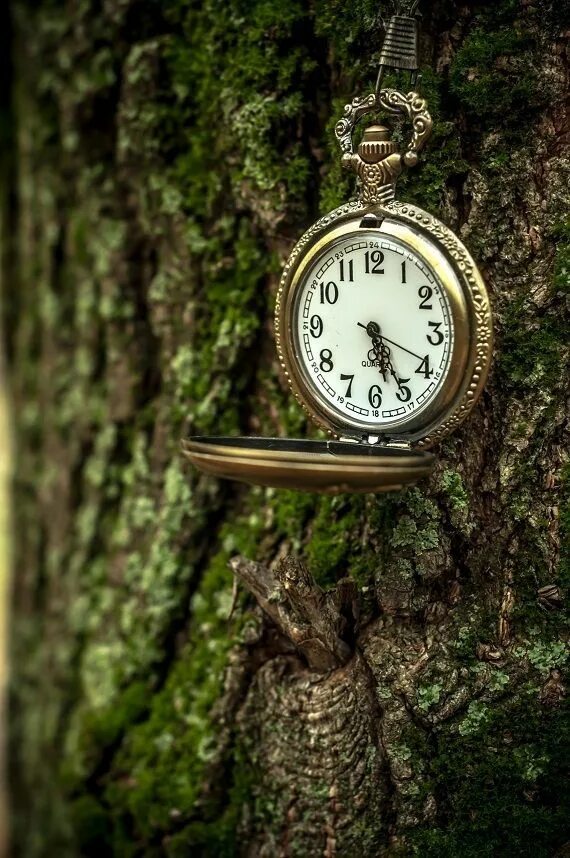 Картинки фото часов Pin op Time Zakhorloges, Zakhorloge, Klok