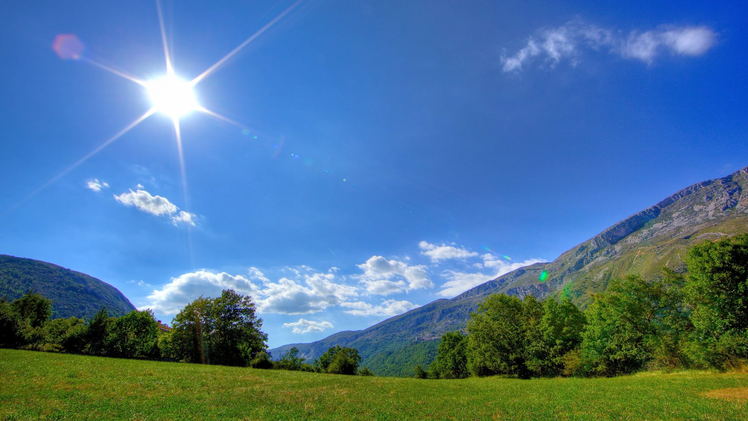 Картинки фото дня Wallpaper : Sun, light, beams, meadow, glade, summer, day 2560x1440 - wallup - 1