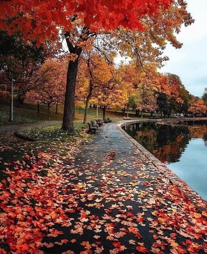 Картинки фото осень Pin by German Caban on Paisajes y belleza Autumn landscape, Beautiful landscapes