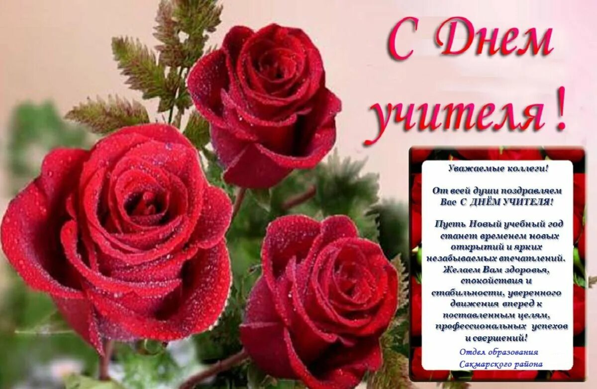 Картинки фото поздравления коллег с днем учителя С днем учителя коллегам - поздравительные открытки - Gorodprizrak