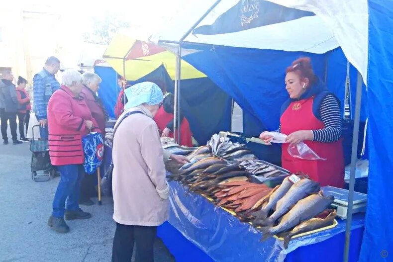 Картинки фото продовольственных ярмарок барнаул осень Первая осенняя продовольственная ярмарка прошла в Октябрьском районе БАРНАУЛ :: 