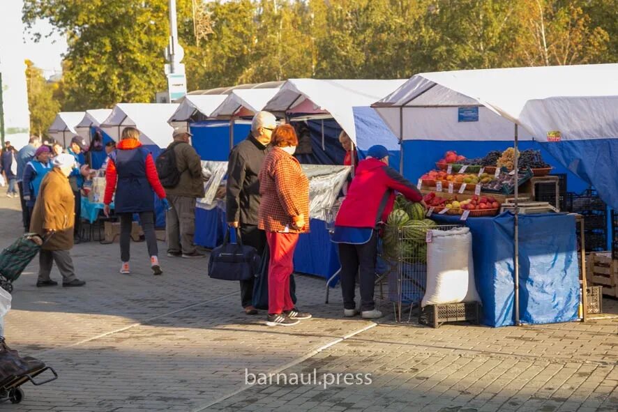 Картинки фото продовольственных ярмарок барнаул осень Своё, родное: как прошел сезон ярмарок выходного дня в Барнауле БАРНАУЛ :: Офици