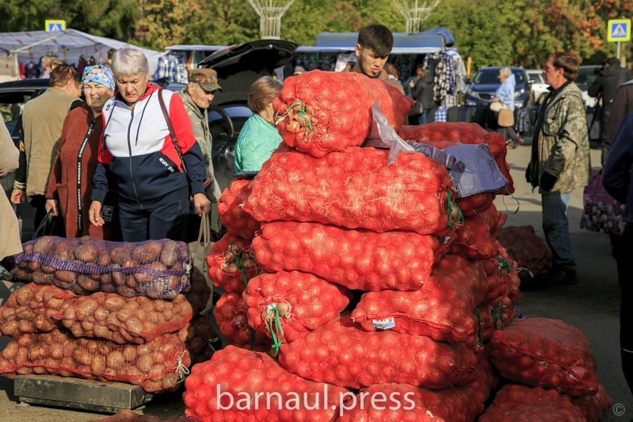 Картинки фото продовольственных ярмарок барнаул осень Товарооборот первой осенней ярмарки в Барнауле превысил 10 млн рублей БАРНАУЛ ::