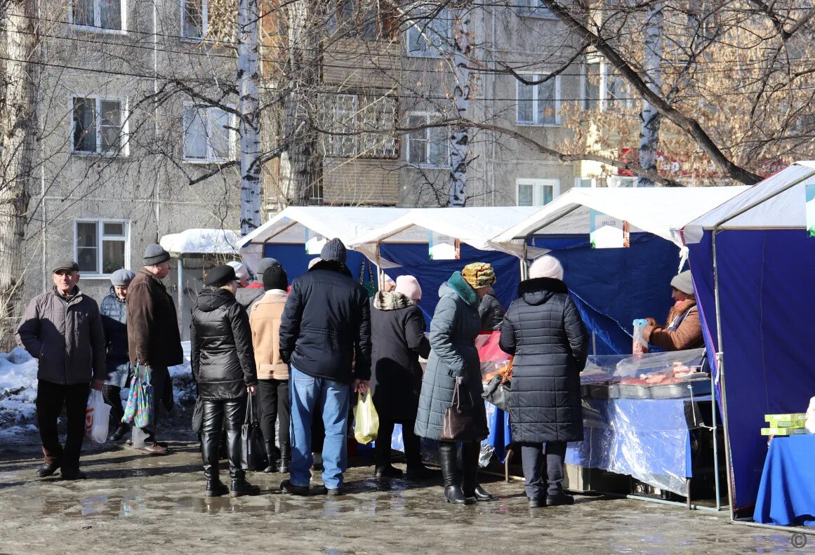 Картинки фото продовольственных ярмарок барнаул осень На шести площадках в пригороде и центре Барнаула прошла продуктовая ярмарка выхо