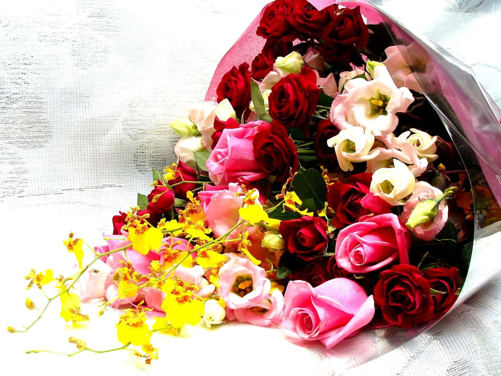 Картинки фото цветы красивые женщине букеты Download "A Burst of Color and Life in This Fresh Flower Arrangement" Wallpaper 