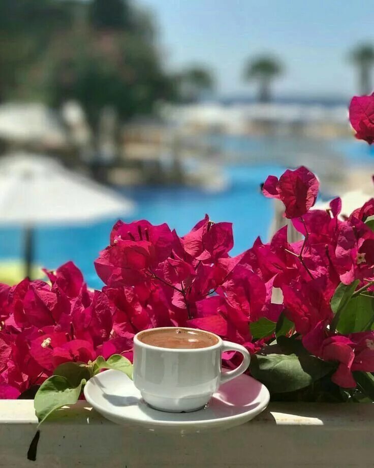 Картинки галерее доброе утро Pin by Musa Atıcı on KaHvE & CoFFee Coffee cafe, Coffee art, Coffee time