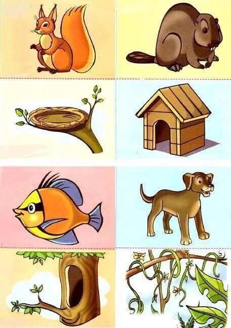 Картинки где живут дикие животные animals and their homes printables (1) funnycrafts Animals and their homes, Anim