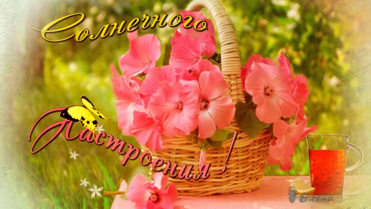 Картинки гиф хорошего дня прекрасного настроения Так смеется мое ЛЕТО! С первым днем ЛЕТА, друзья! С Днём ЗАЩИТЫ ДЕТЕЙ! Автор муз