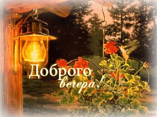 Картинки гифки добрый вечер природа Пин от пользователя Алла Беганская на доске Доброго вечера Спокойной ночи, Откры