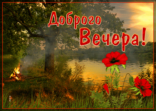 Картинки гифки добрый вечер природа Анимированная открытка для тебя Открытки, Картинки, Лето