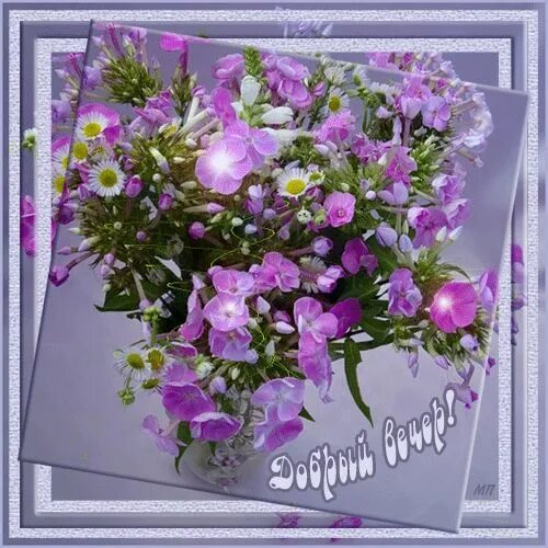 Картинки гифки добрый вечер цветы Good evening . Big cats art, Glitter roses, Banner gif