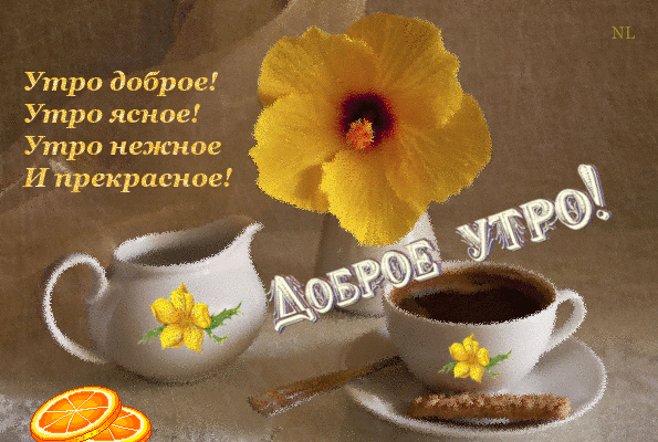 Картинки гифки пожелания с добрым утром С добрым утром, с новым днем, коллеги!
